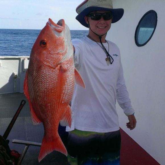 Meet your Posher, Joshua - Picture 1 of 1